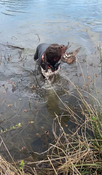 Matthew B. on Google